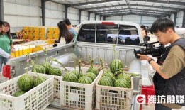 5月新瓜最新爆料,娱乐圈风云再起，明星隐私大揭秘